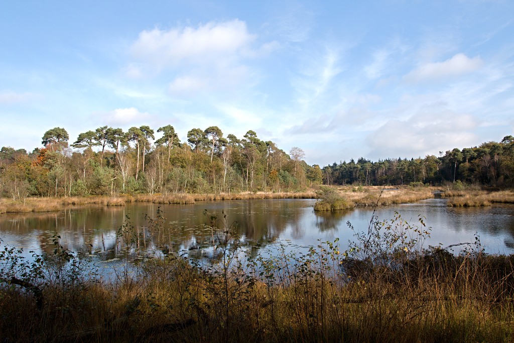 Oisterwijkse Bossen en Vennen Kampina natuurgebied natuur hdr oisterwijk Nationaal park Landschap Het Groene Woud hei heide bossen natuurmonumenten brabant